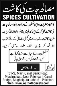 Click To Inlarge